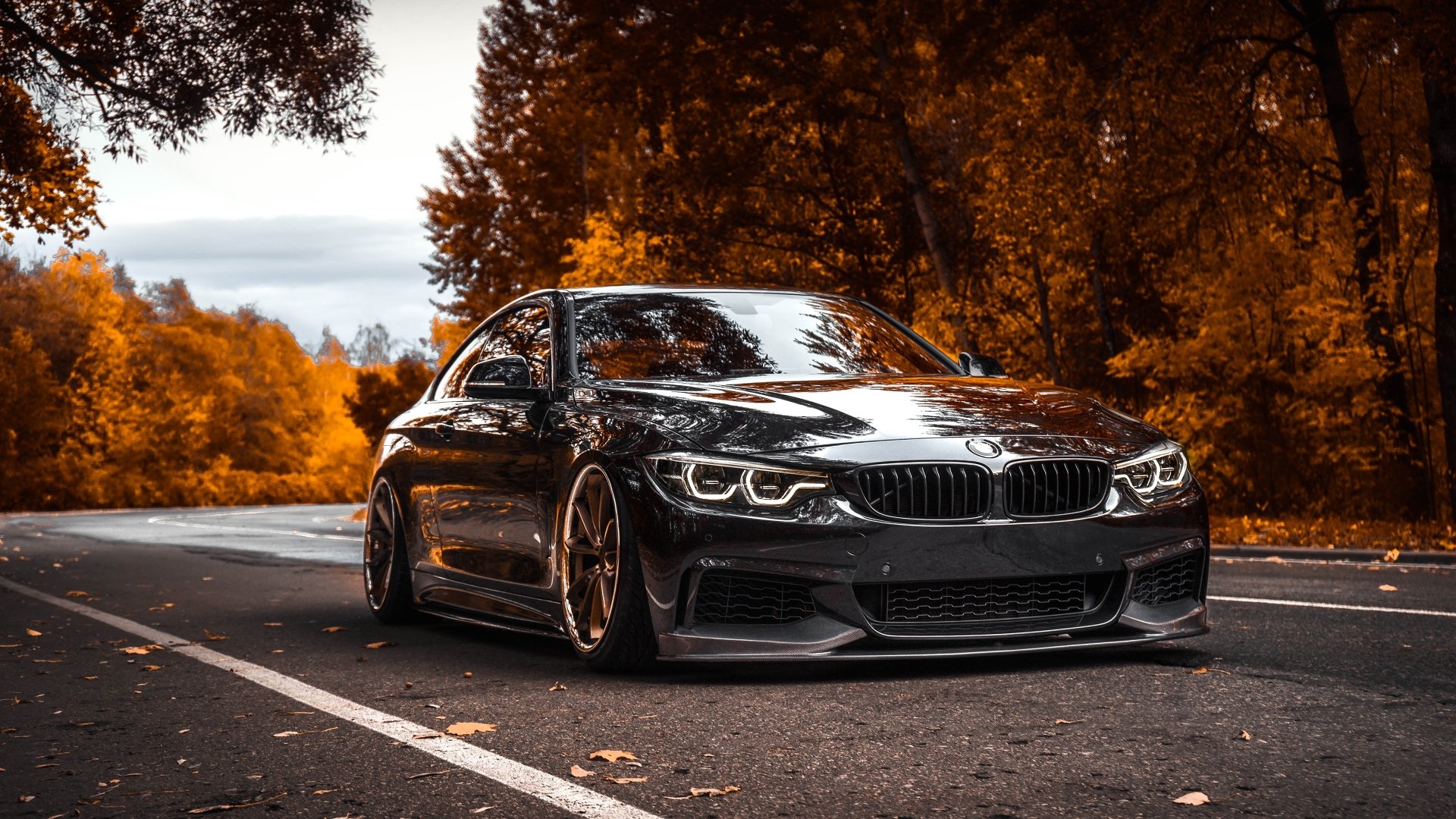 Luxury Car Detailing